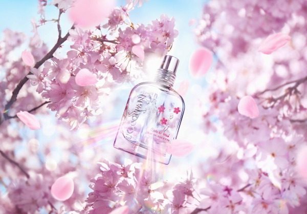 ロクシタンから、果実と桜の花の甘い限定フレグランス「チェリープリズム」発売！