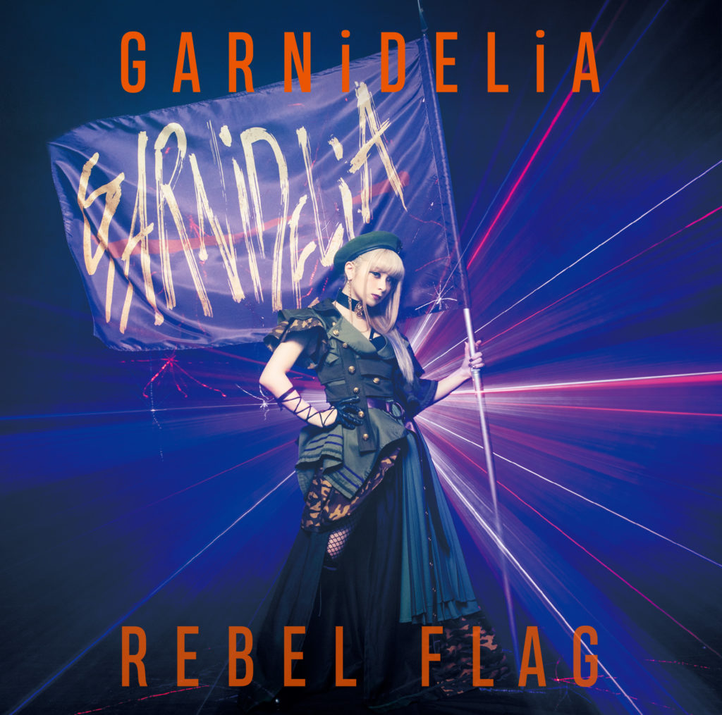 GARNiDELiA REBEL FLAG