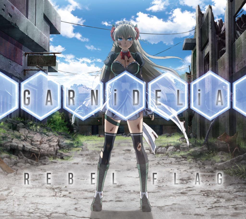 GARNiDELiA REBEL FLAG