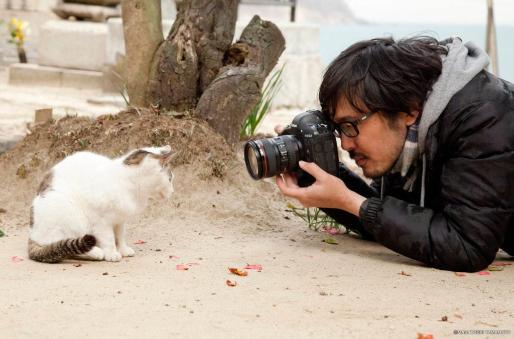 猫の写真＆グッズ展「ねこがかわいいだけ展」