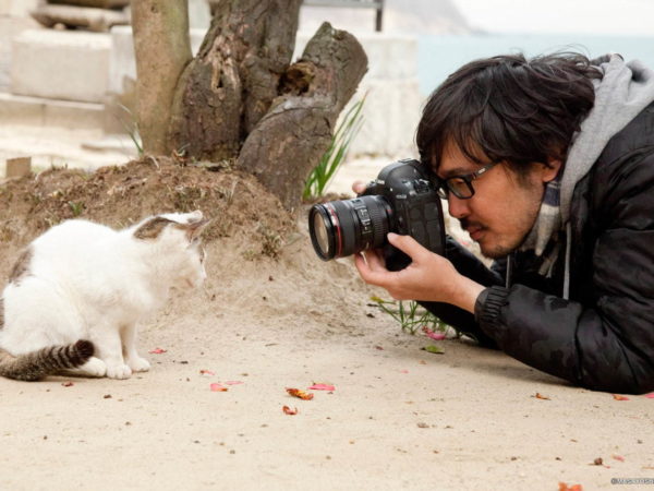 猫の写真＆グッズ展「ねこがかわいいだけ展」東京・大阪・横浜など全国7会場で開催！