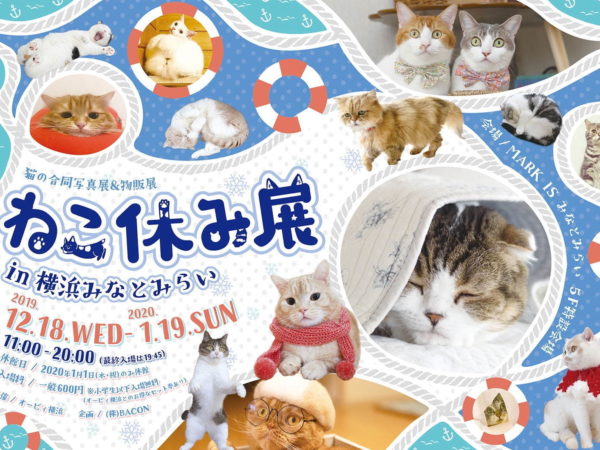 「ねこ休み展 in 横浜みなとみらい」が、横浜・マークイズみなとみらいにて開催！