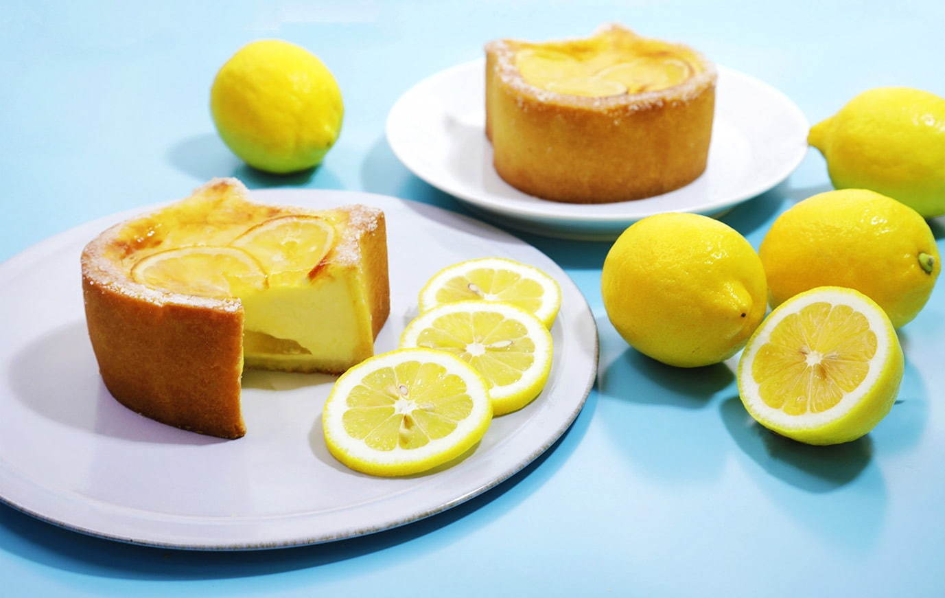 「ねこねこチーズケーキ」から、瀬戸内レモンを使った夏限定の新作 「ねこねこチーズケーキ」から、瀬戸内レモンを使った夏限定の新作