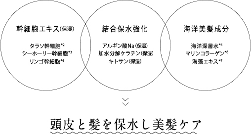 エイトザタラソから、髪のダメージによる空洞化をケアする待望のスムースリペアシリーズ