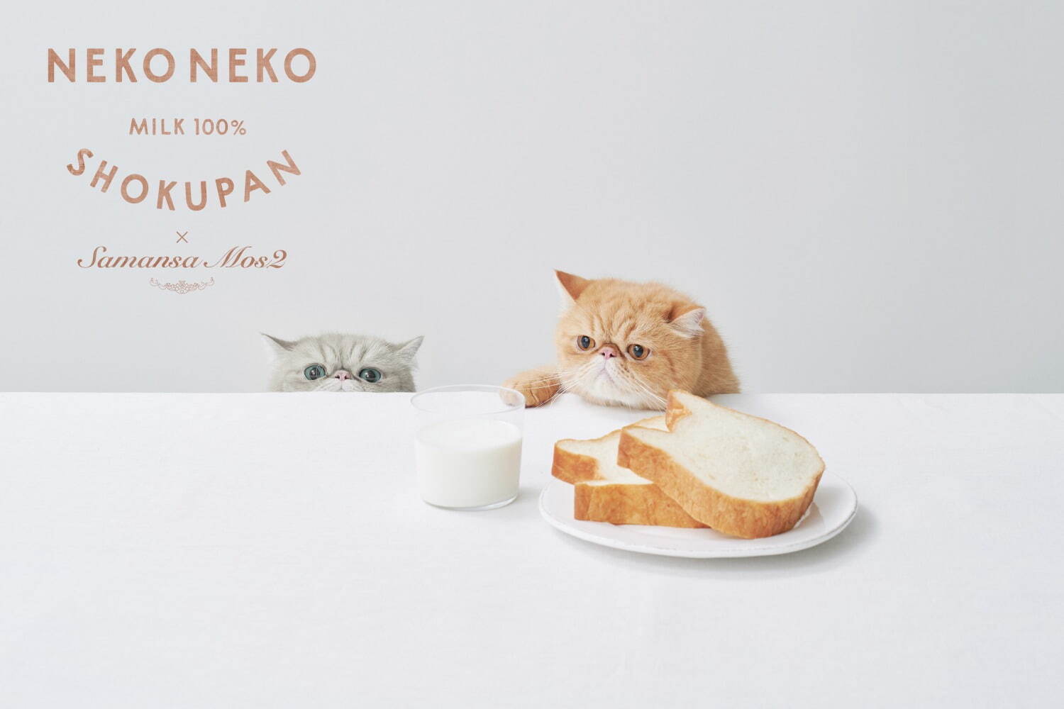 ねこ型高級食パン「ねこねこ食パン」とサマンサ モスモスが初コラボ!Tシャツ&バッグ ねこ型高級食パン「ねこねこ食パン」とサマンサ モスモスが初コラボ!Tシャツ&バッグ