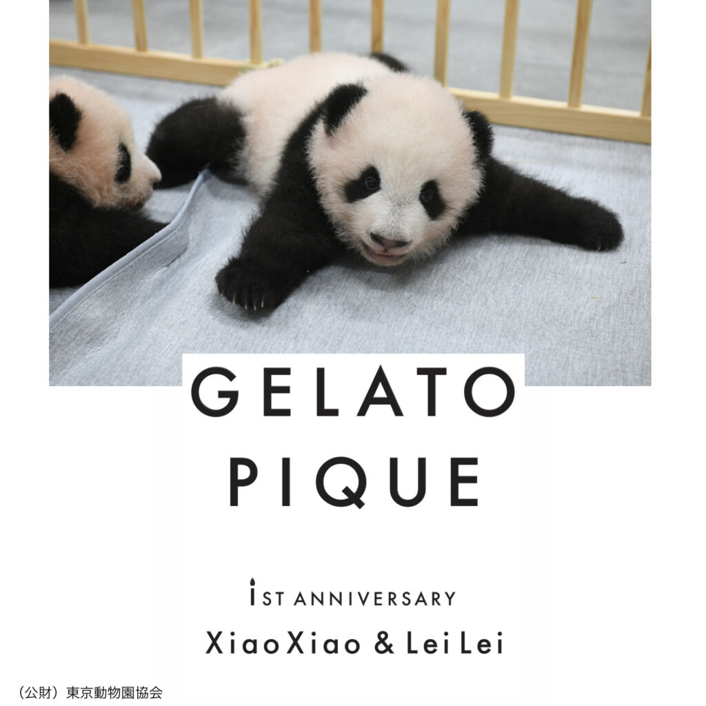 gelato pique ジェラートピケ パンダ ラグマット