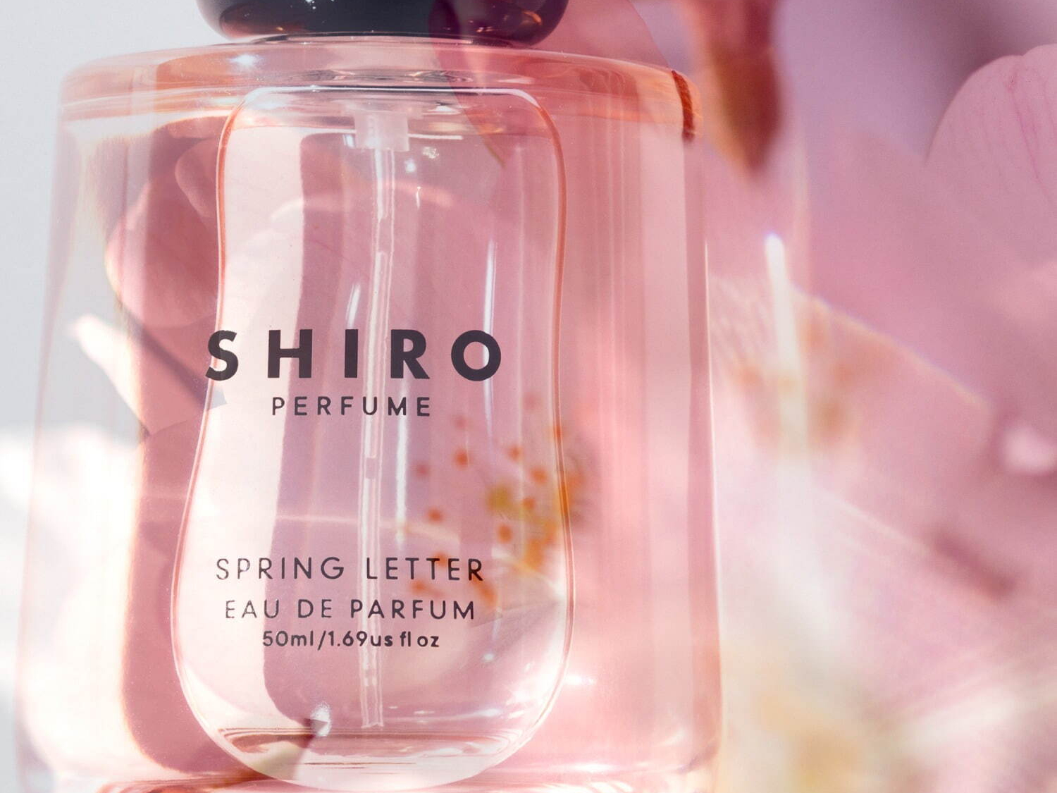 SHIRO スプリングレター　オードパルファム Amazon | shiro PERFUME SPRING LETTER スプリングレター 50mL