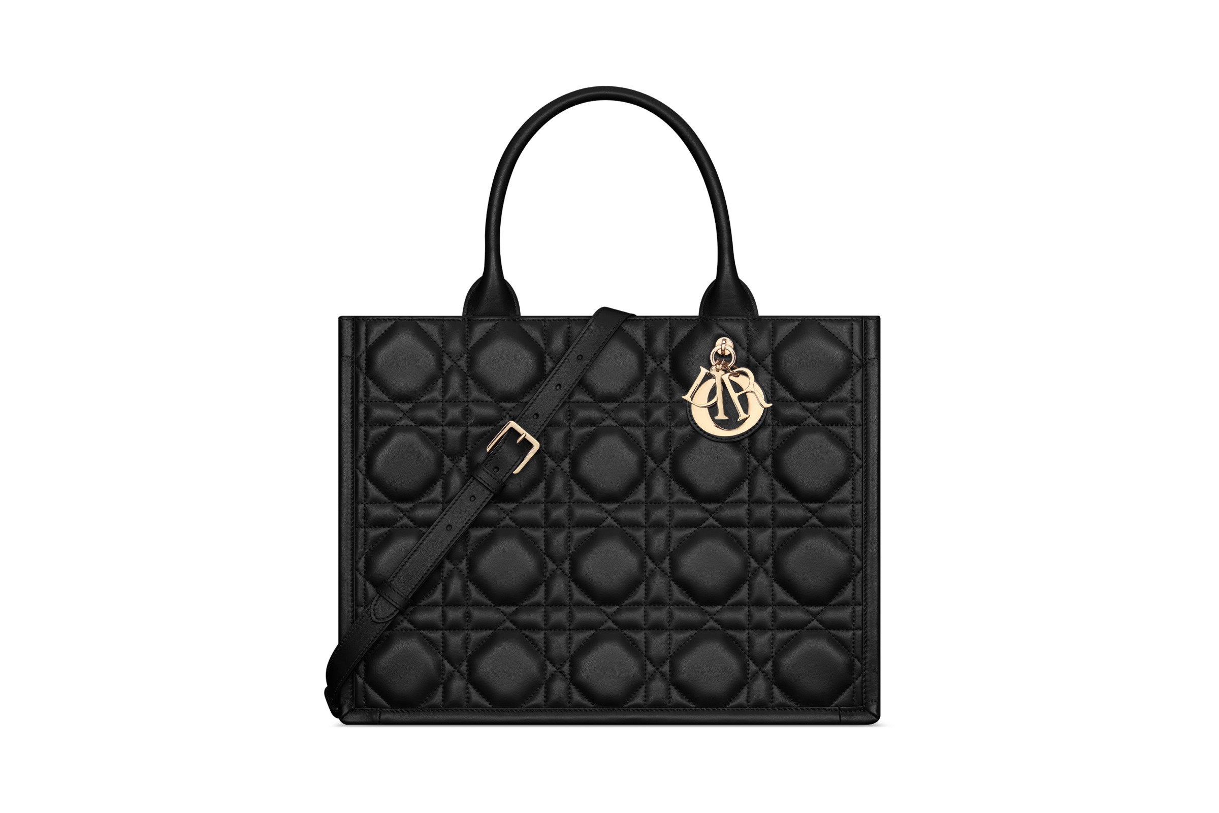 試し持ちのみ　2024年　ディオール　ブックトート　ミディアム 大人気！！【すぐ届く】DIOR ブックトート ミディアム (Dior
