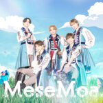 MeseMoa. VANITYMIX WEB LIMITED INTERVIEW