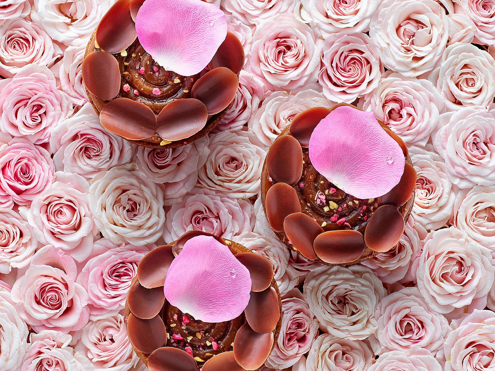 ピエール・エルメ・パリが、直営ブティック 「ピエール・エルメ・パリ 日本橋高島屋S.C.」がオープン！